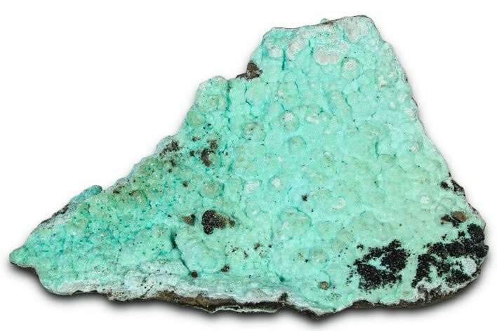 Sparkling Blue-Green Aurichalcite and Smithsonite - Utah #361336